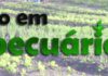Utilidade pública: CEARV oferece curso técnico em agropecuária