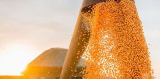 Exportações e importações crescem na BA em abril; mercado asiático é principal parceiro