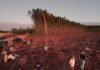 Invasões de terra: produtores rurais se organizam contra novos casos na Bahia