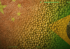 Embarques de soja do Brasil para a China saltam 32% em julho