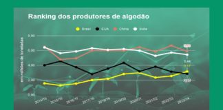 Brasil supera EUA na produção de algodão