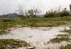 Chuva acima da média aumenta umidade do solo no Nordeste