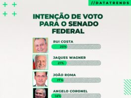 Pesquisa DataTrends aponta Rui Costa na liderança da disputa pelo Senado na Bahia